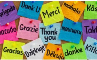 Vabilo k vpisu tujih jezikov v spomladanskem semestru od februarja do maja 2026